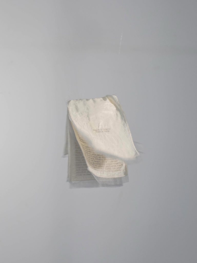 EXHIBITION: SAVKA MARENIC | MOTH ON THE WINDOW