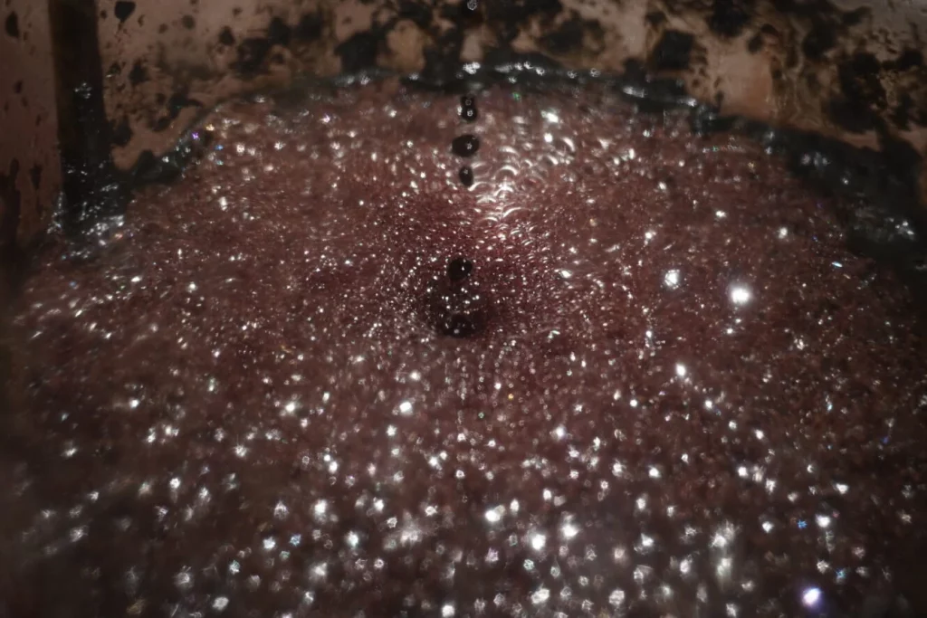 EXHIBITION: KATYA LIBKIND. “TO DESPAIR – TO LOOK”