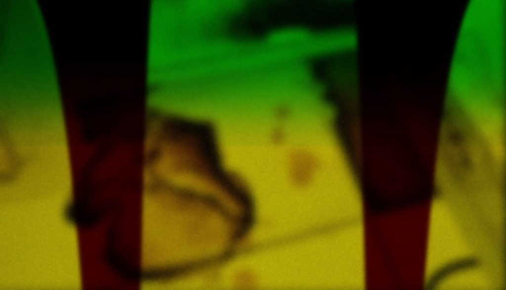 EXHIBITION: THIS CAT WAS DRAWN DURING THE WAR