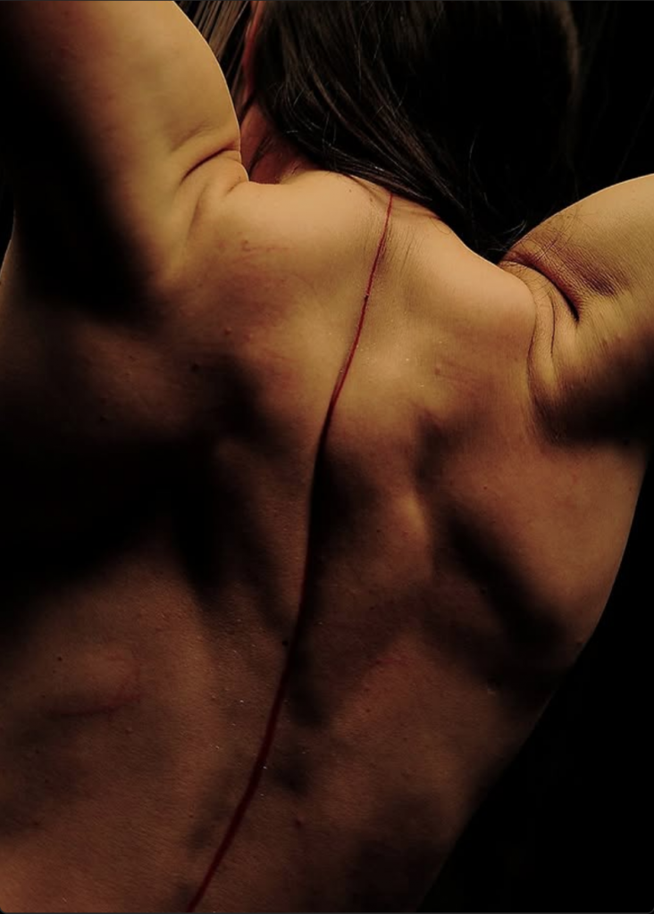 PERFORMANCE: THE VISIBLE PROJECT. OBJECT BECOMES OBJECT