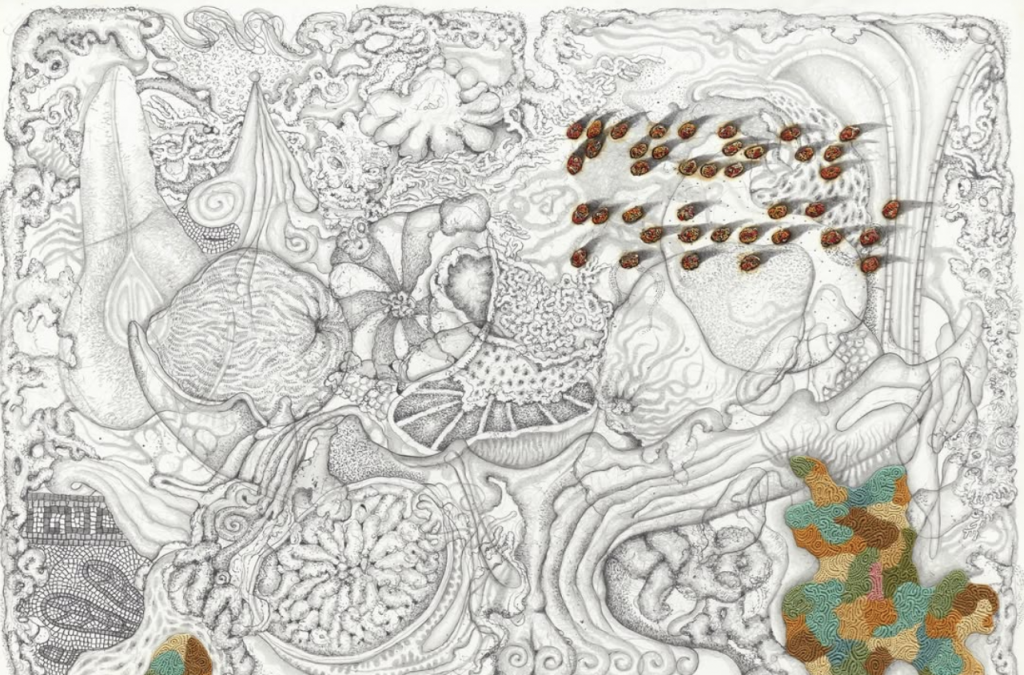 EXHIBITION: RADU OREIAN. RETINAL VERTIGO