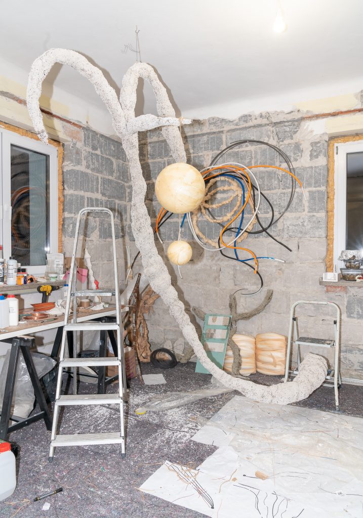 EXHIBITION: IRMINA RUSICKA, KASPER LECNIM | NOT ONLY FLOWERS WILL GROW